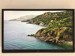 LG 24” FHD IPS All-in-One Thin Client IGEL OS Webcam & Speakers 24CN650I-6N